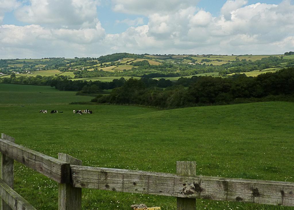 The Black Dog Inn Broadmayne Exteriér fotografie