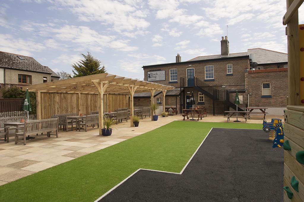 The Black Dog Inn Broadmayne Exteriér fotografie